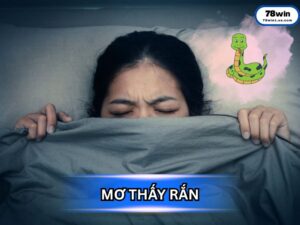 Giải Mã Giấc Mơ Thấy Rắn: Bí Ẩn, Điềm Báo và Những Con Số Vàng